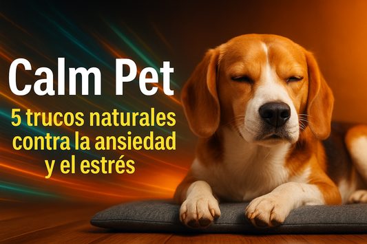 Calm Pet- Trucos naturales contra la ansiedad y el estrés
