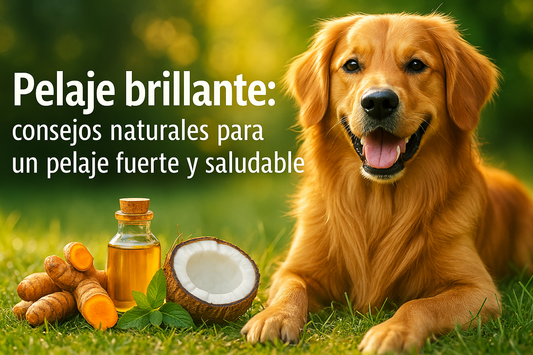 Pelaje brillante - Guia con consejos naturales para un pelaje fuerte y saludable